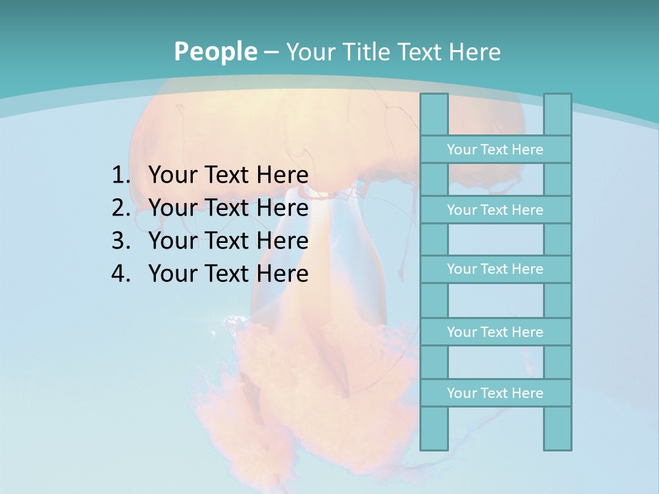The Box Jellyfish PowerPoint Template
