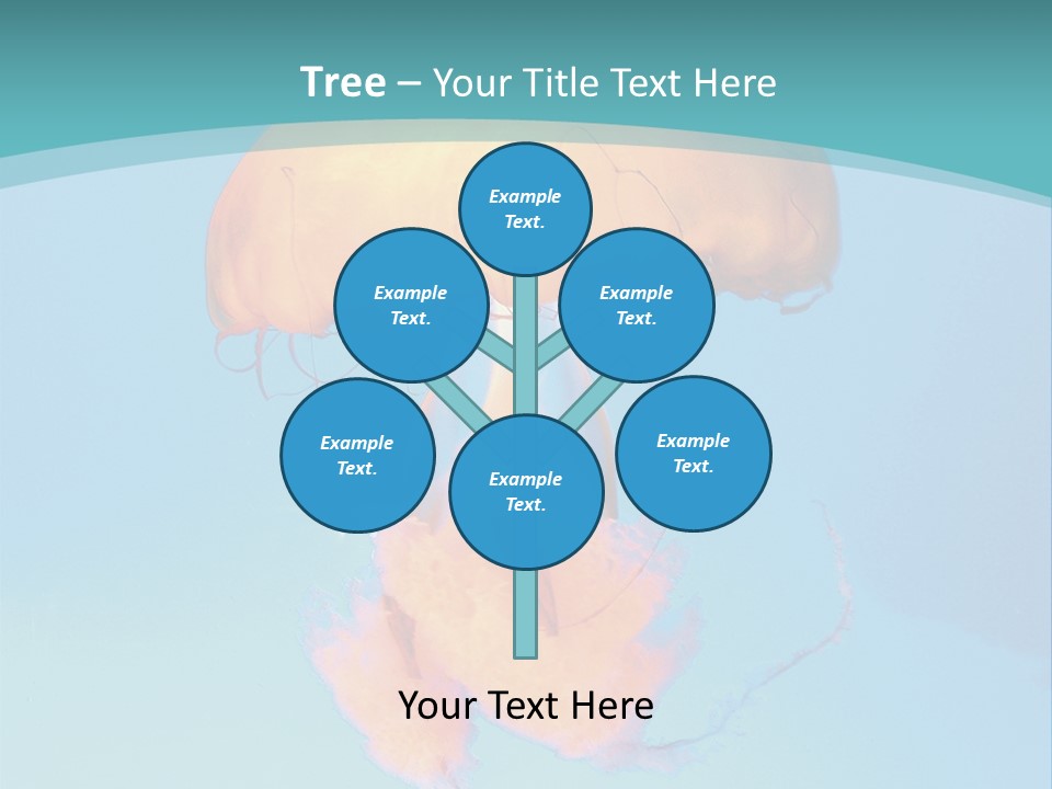The Box Jellyfish PowerPoint Template