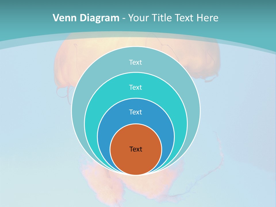 The Box Jellyfish PowerPoint Template