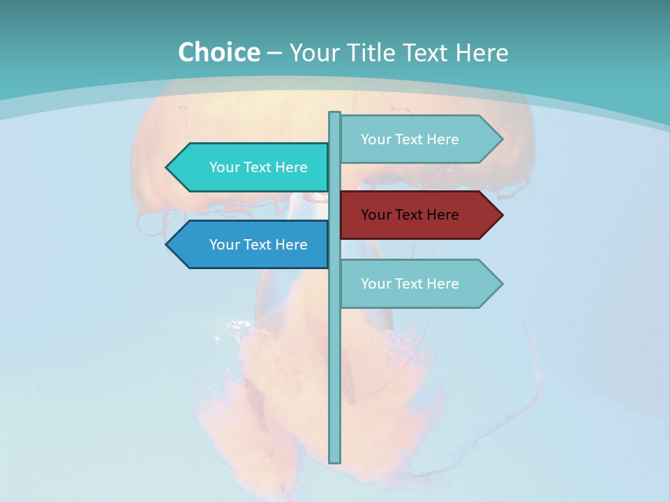 The Box Jellyfish PowerPoint Template