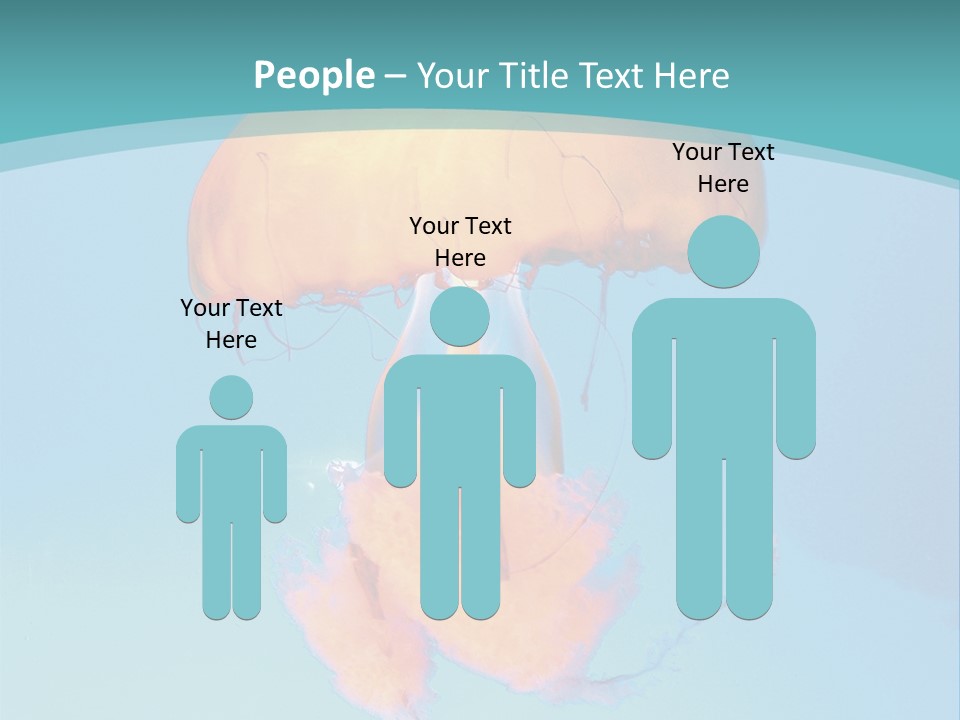 The Box Jellyfish PowerPoint Template