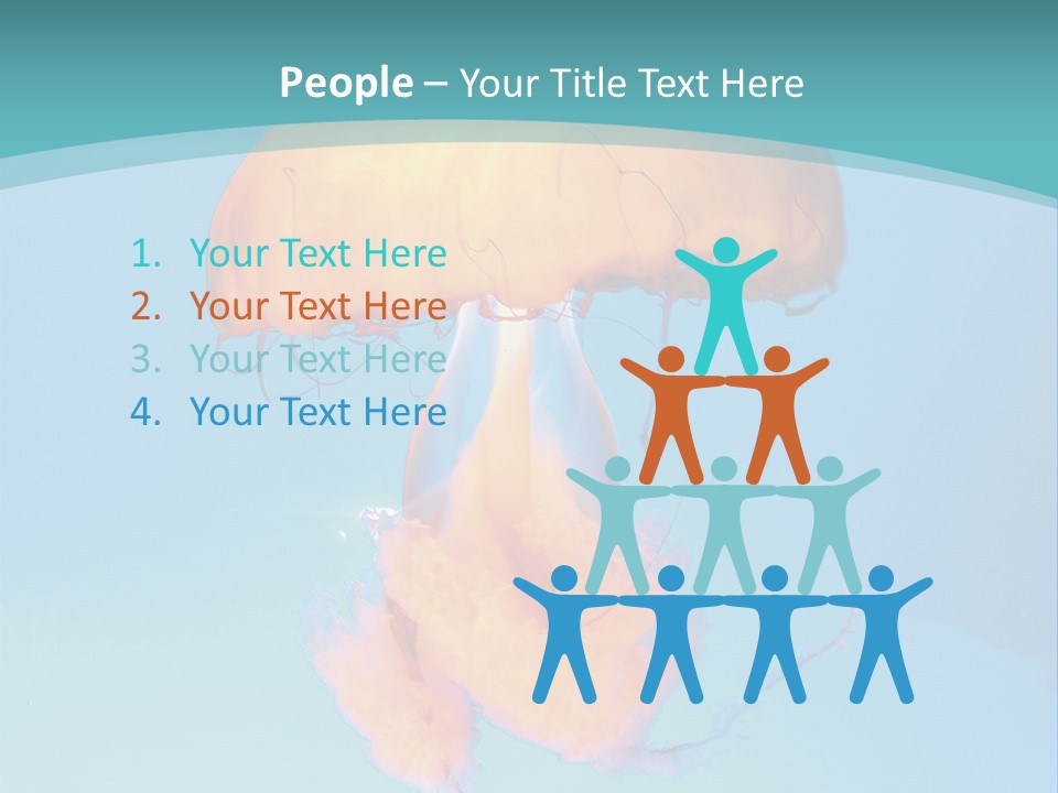 The Box Jellyfish PowerPoint Template