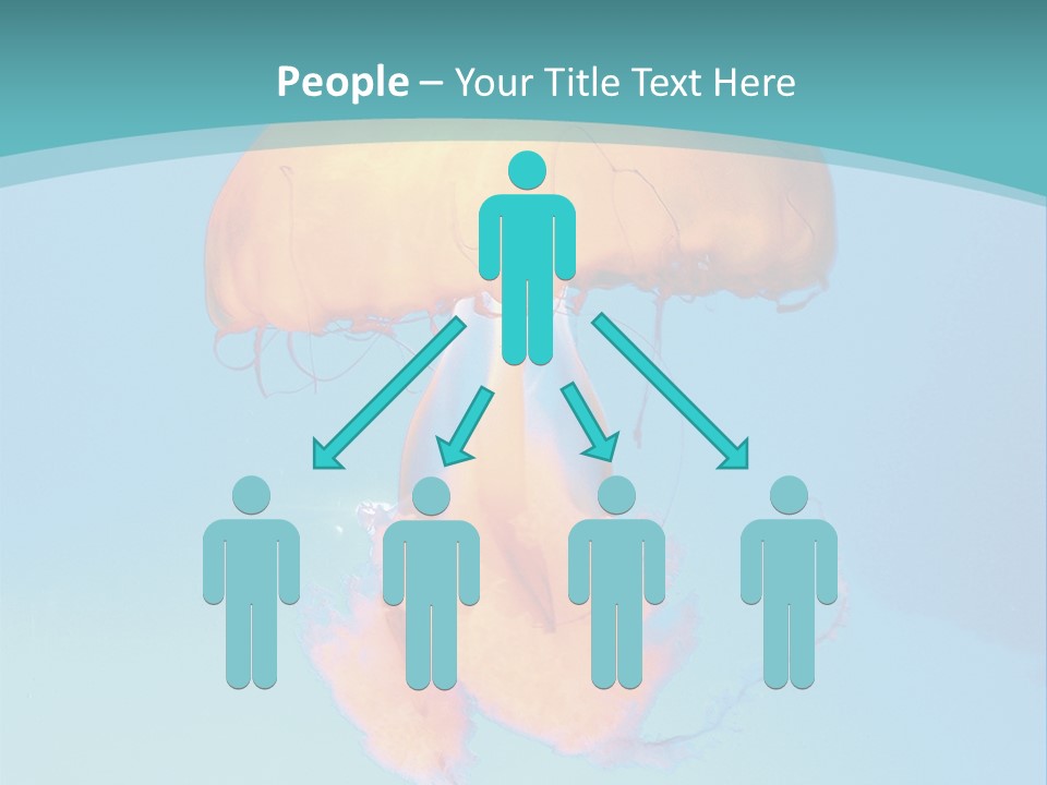 The Box Jellyfish PowerPoint Template