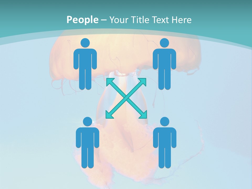 The Box Jellyfish PowerPoint Template