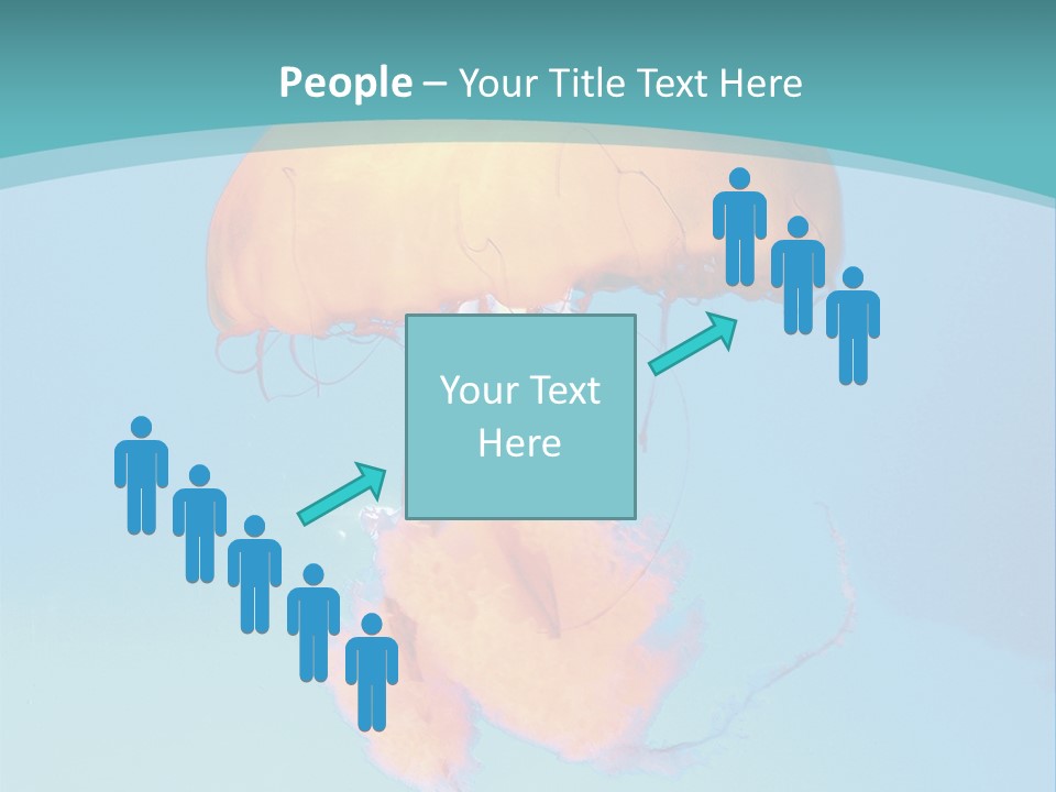 The Box Jellyfish PowerPoint Template