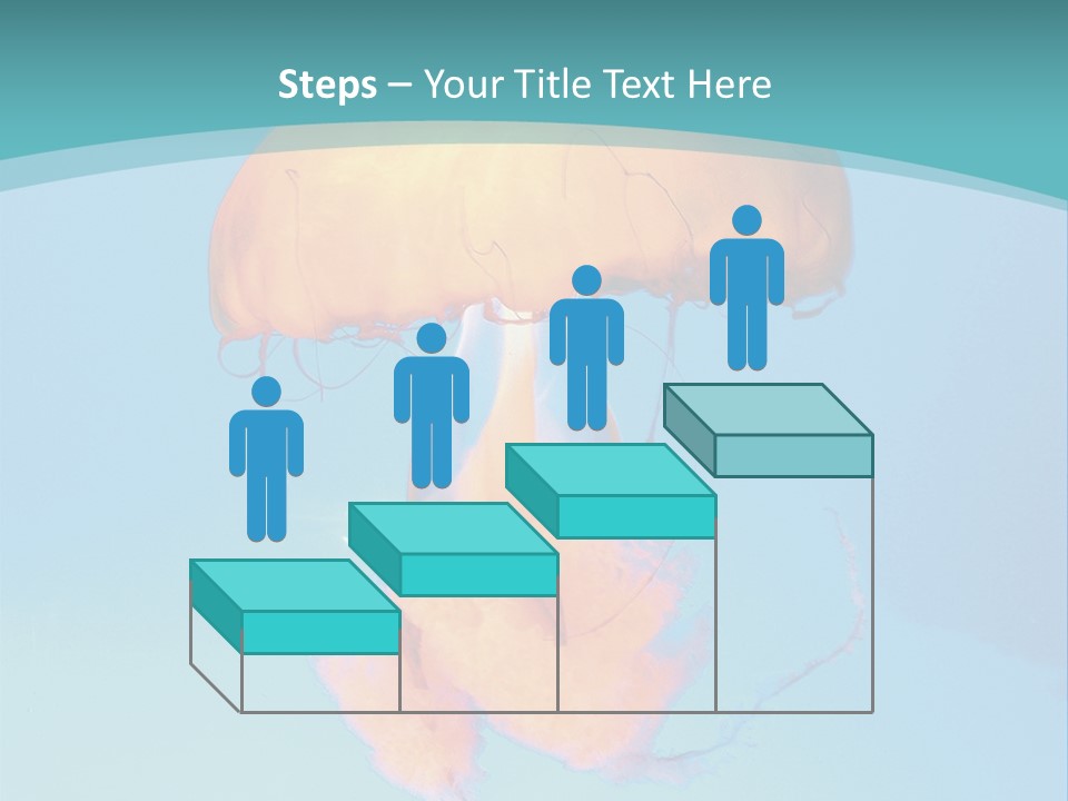 The Box Jellyfish PowerPoint Template