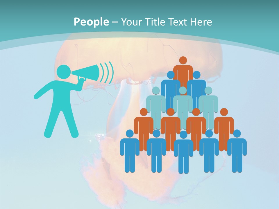 The Box Jellyfish PowerPoint Template