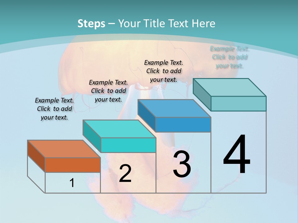 The Box Jellyfish PowerPoint Template