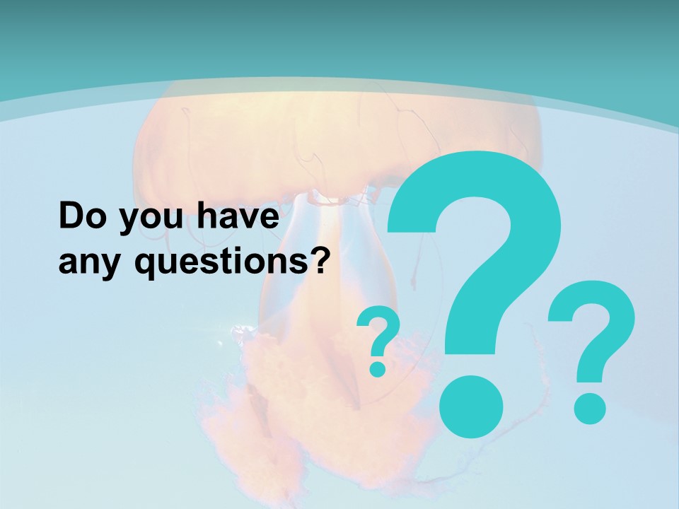 The Box Jellyfish PowerPoint Template