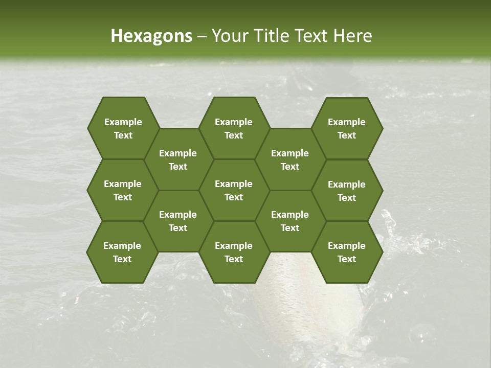 Fly Fishing On River PowerPoint Template