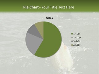 Fly Fishing On River PowerPoint Template