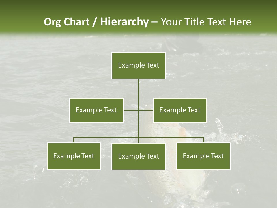 Fly Fishing On River PowerPoint Template