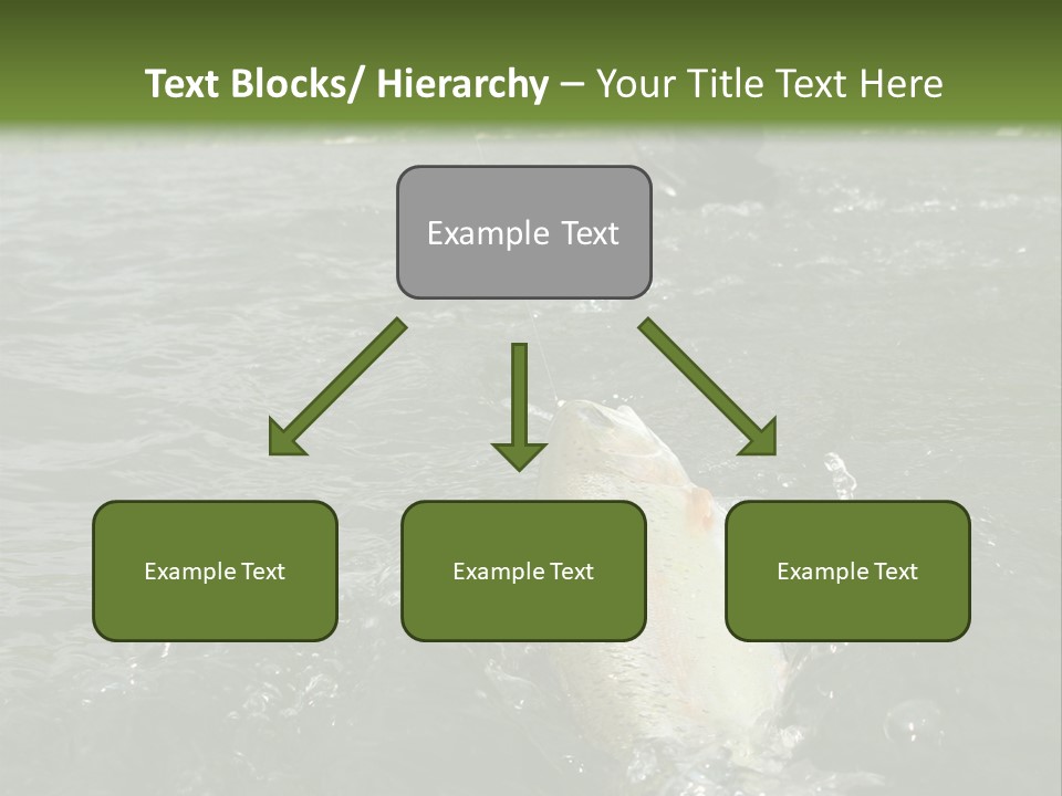 Fly Fishing On River PowerPoint Template