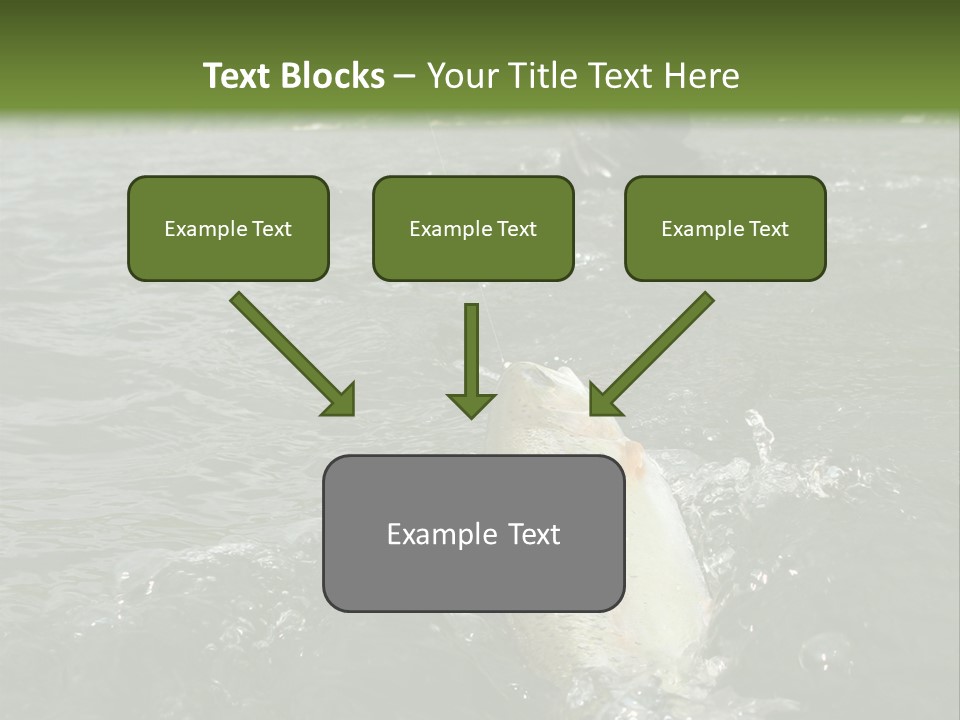 Fly Fishing On River PowerPoint Template