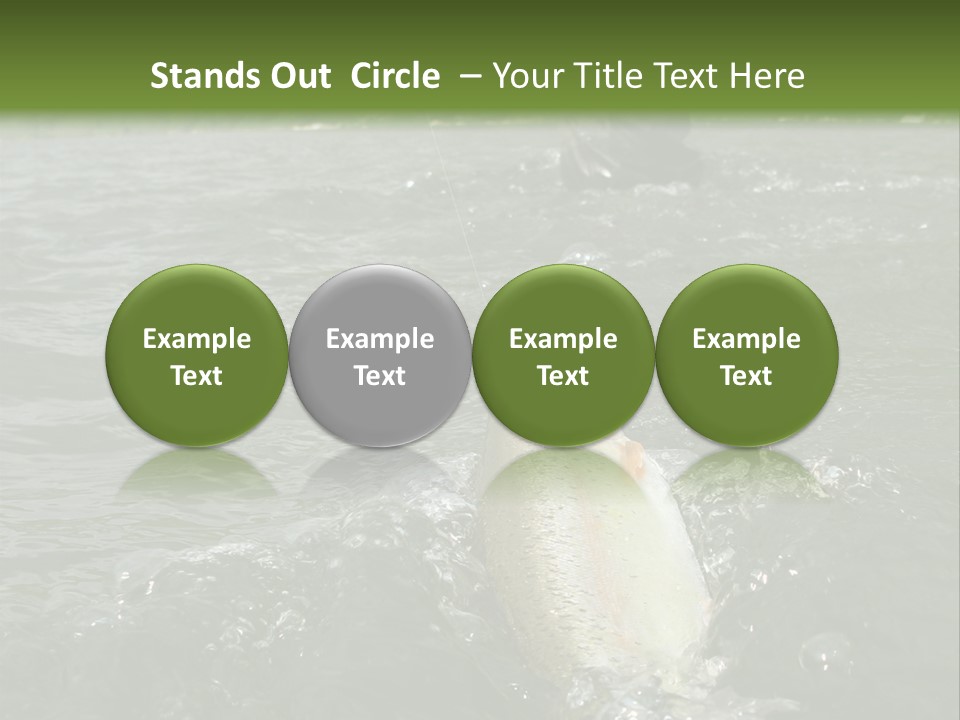 Fly Fishing On River PowerPoint Template