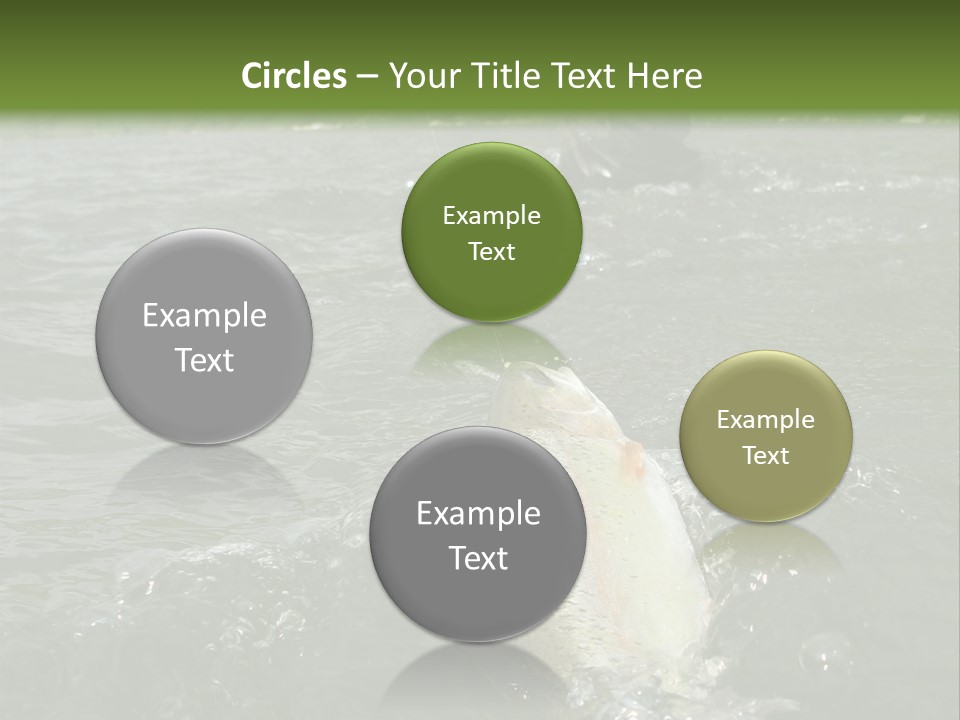 Fly Fishing On River PowerPoint Template