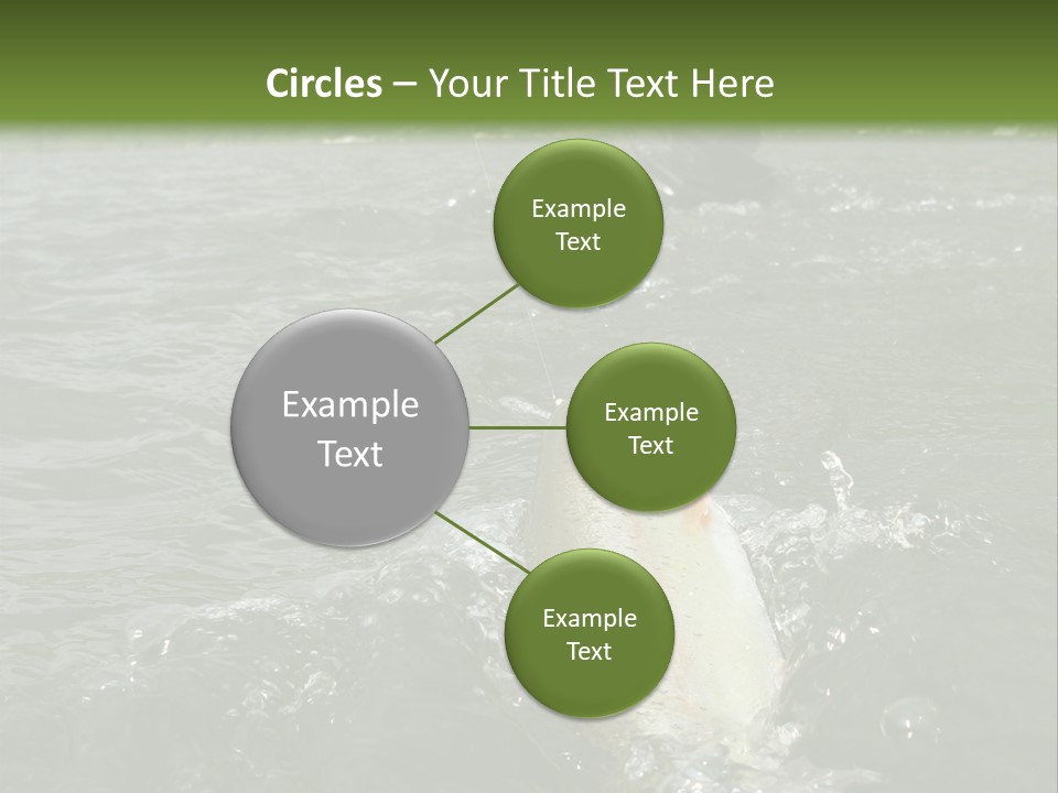 Fly Fishing On River PowerPoint Template