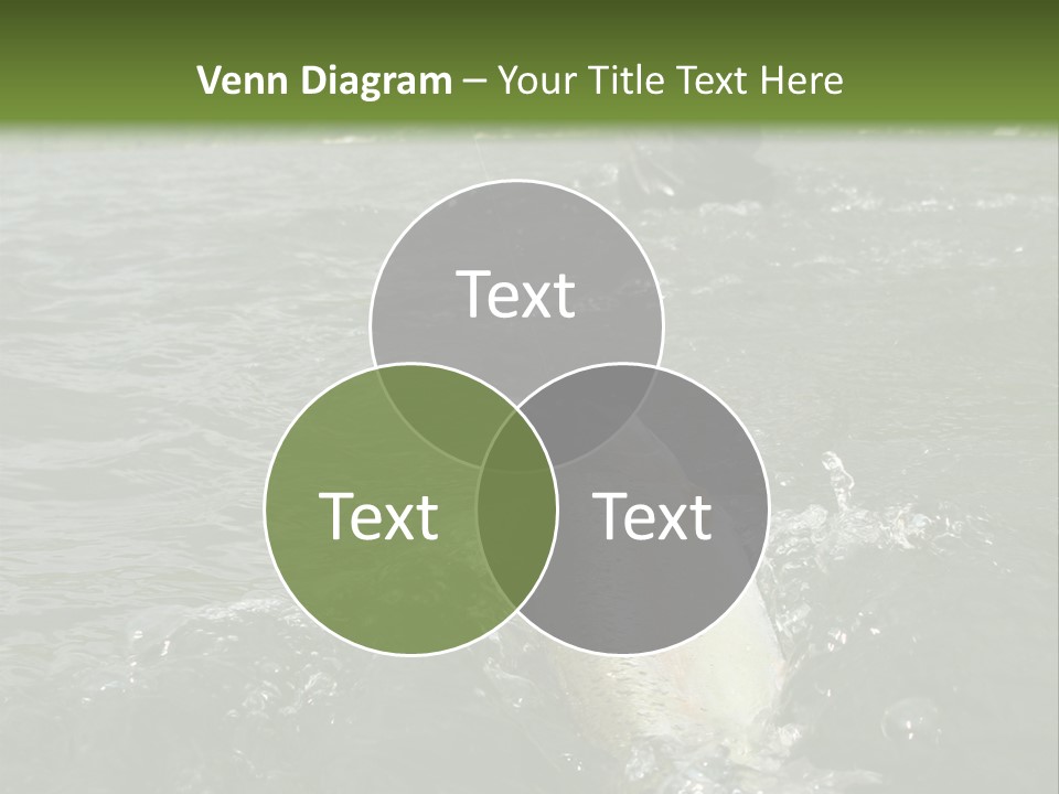 Fly Fishing On River PowerPoint Template