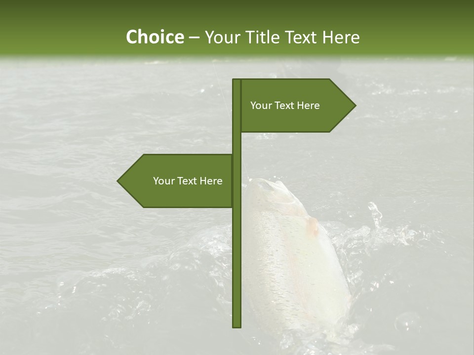 Fly Fishing On River PowerPoint Template