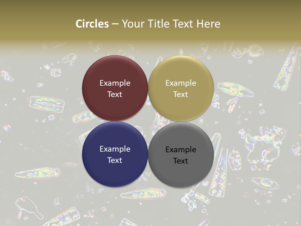 Mixed Diatoms From A Small Creek. This Image Has Been Enhanced With A Density Color Conversion Algorithm To Accentuate Internal Structure. Magnification 400X PowerPoint Template