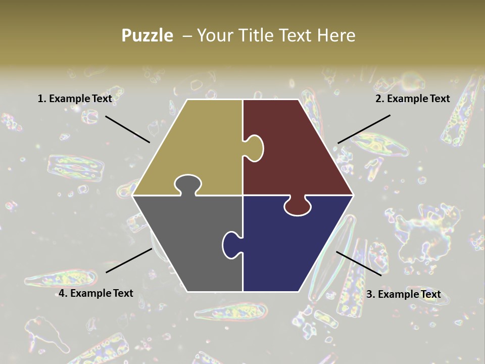 Mixed Diatoms From A Small Creek. This Image Has Been Enhanced With A Density Color Conversion Algorithm To Accentuate Internal Structure. Magnification 400X PowerPoint Template