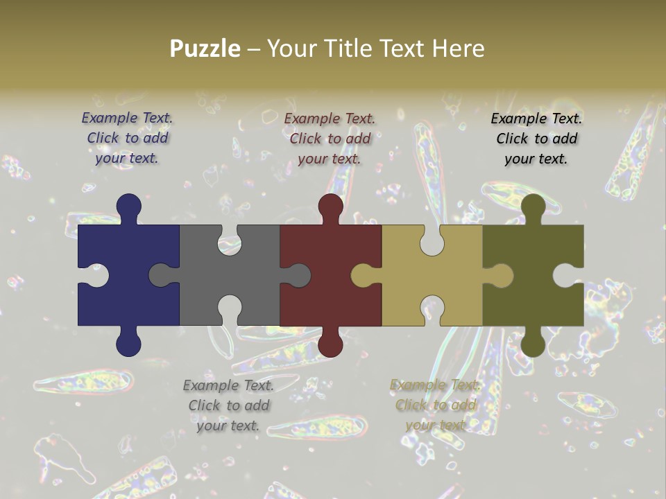 Mixed Diatoms From A Small Creek. This Image Has Been Enhanced With A Density Color Conversion Algorithm To Accentuate Internal Structure. Magnification 400X PowerPoint Template