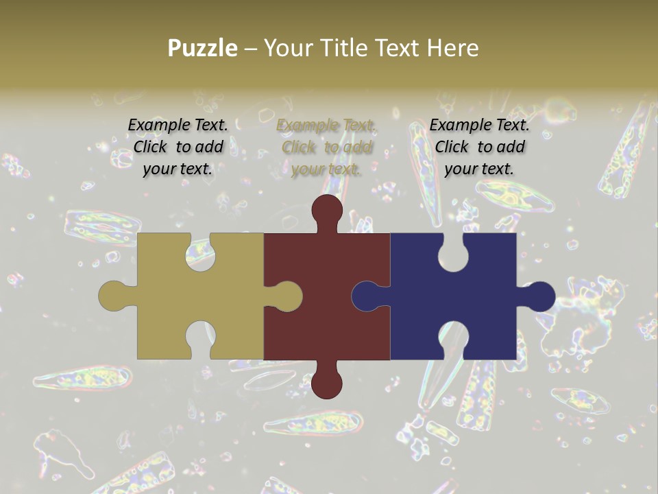 Mixed Diatoms From A Small Creek. This Image Has Been Enhanced With A Density Color Conversion Algorithm To Accentuate Internal Structure. Magnification 400X PowerPoint Template