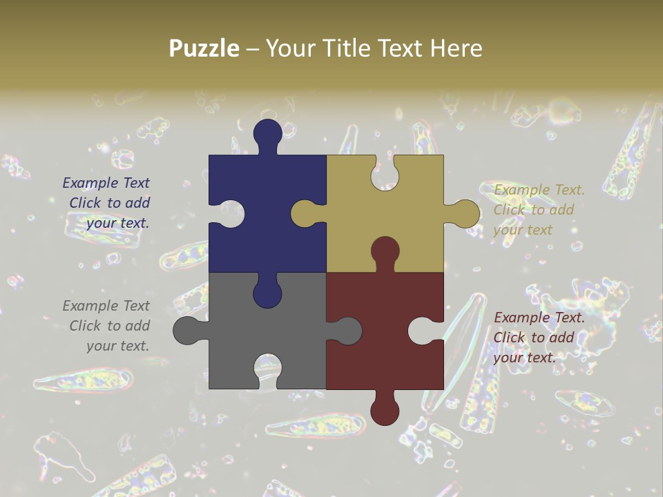 Mixed Diatoms From A Small Creek. This Image Has Been Enhanced With A Density Color Conversion Algorithm To Accentuate Internal Structure. Magnification 400X PowerPoint Template