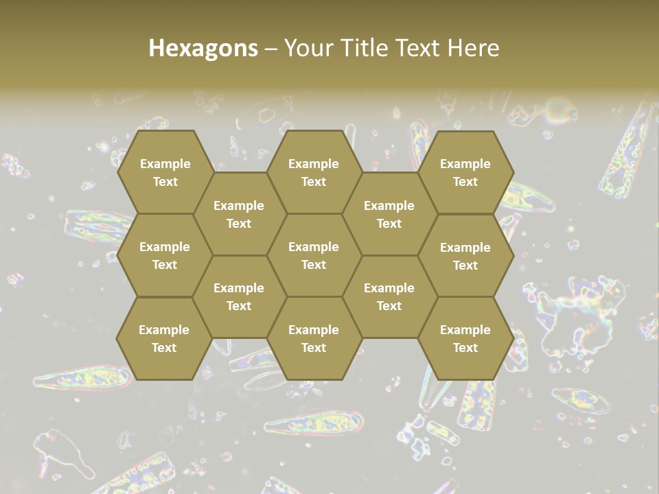 Mixed Diatoms From A Small Creek. This Image Has Been Enhanced With A Density Color Conversion Algorithm To Accentuate Internal Structure. Magnification 400X PowerPoint Template