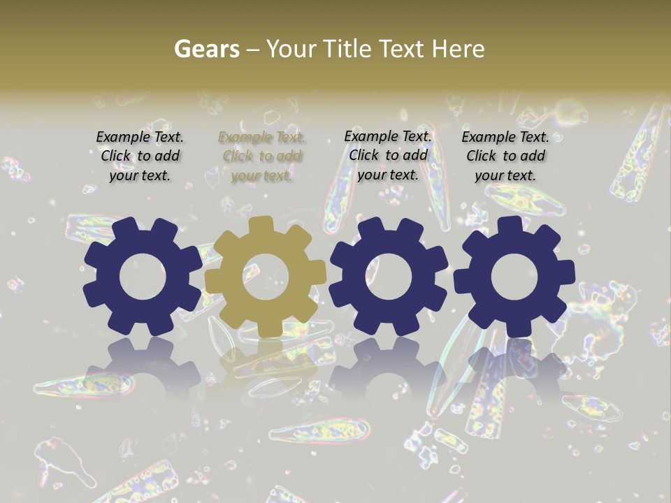 Mixed Diatoms From A Small Creek. This Image Has Been Enhanced With A Density Color Conversion Algorithm To Accentuate Internal Structure. Magnification 400X PowerPoint Template