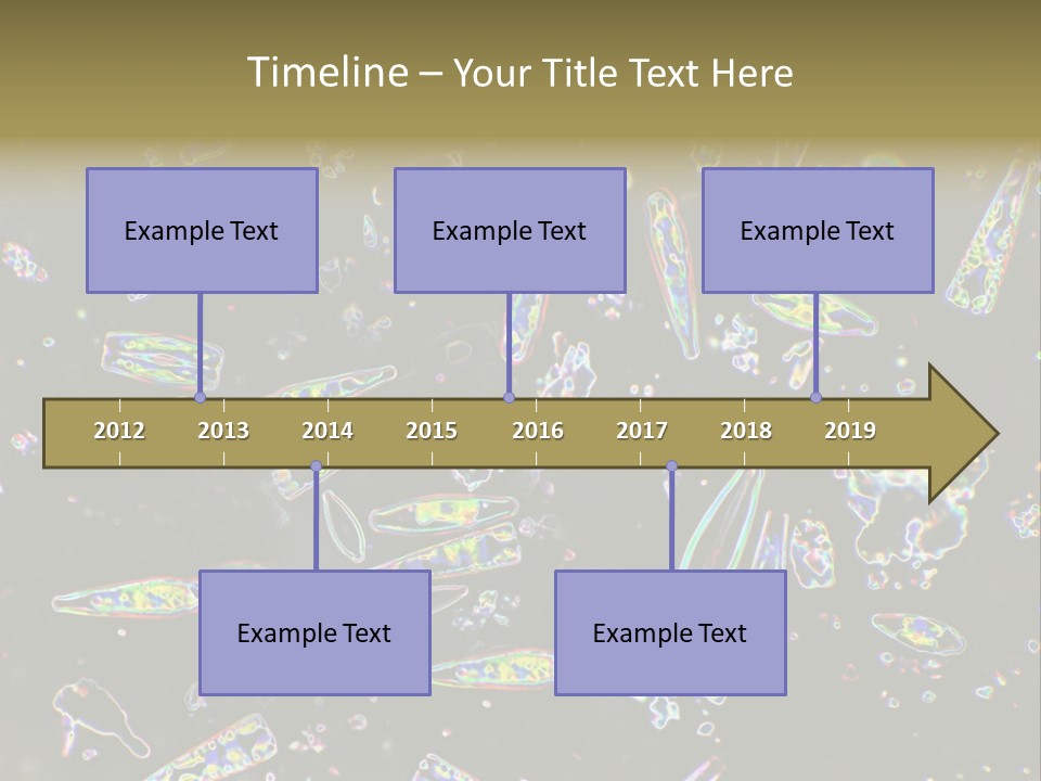 Mixed Diatoms From A Small Creek. This Image Has Been Enhanced With A Density Color Conversion Algorithm To Accentuate Internal Structure. Magnification 400X PowerPoint Template