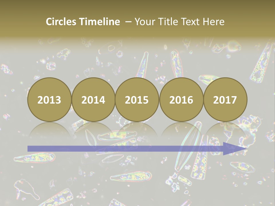 Mixed Diatoms From A Small Creek. This Image Has Been Enhanced With A Density Color Conversion Algorithm To Accentuate Internal Structure. Magnification 400X PowerPoint Template