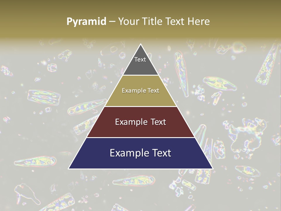 Mixed Diatoms From A Small Creek. This Image Has Been Enhanced With A Density Color Conversion Algorithm To Accentuate Internal Structure. Magnification 400X PowerPoint Template