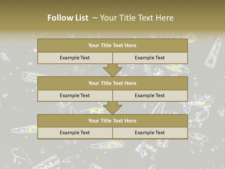 Mixed Diatoms From A Small Creek. This Image Has Been Enhanced With A Density Color Conversion Algorithm To Accentuate Internal Structure. Magnification 400X PowerPoint Template
