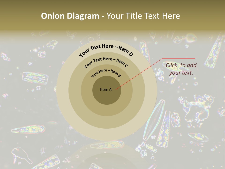 Mixed Diatoms From A Small Creek. This Image Has Been Enhanced With A Density Color Conversion Algorithm To Accentuate Internal Structure. Magnification 400X PowerPoint Template