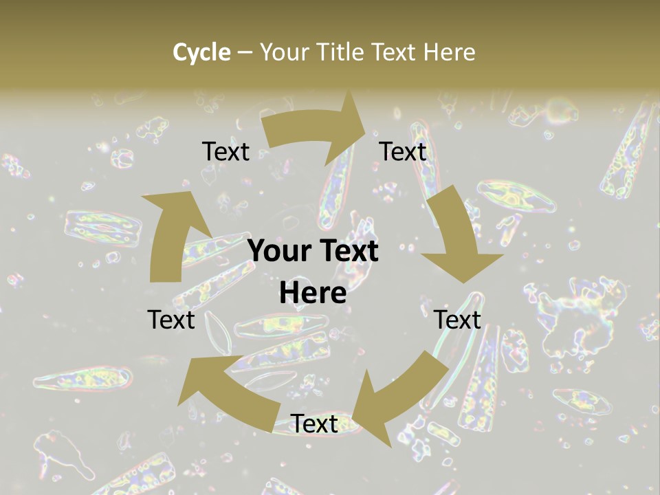 Mixed Diatoms From A Small Creek. This Image Has Been Enhanced With A Density Color Conversion Algorithm To Accentuate Internal Structure. Magnification 400X PowerPoint Template