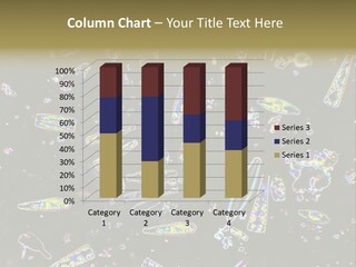 Mixed Diatoms From A Small Creek. This Image Has Been Enhanced With A Density Color Conversion Algorithm To Accentuate Internal Structure. Magnification 400X PowerPoint Template