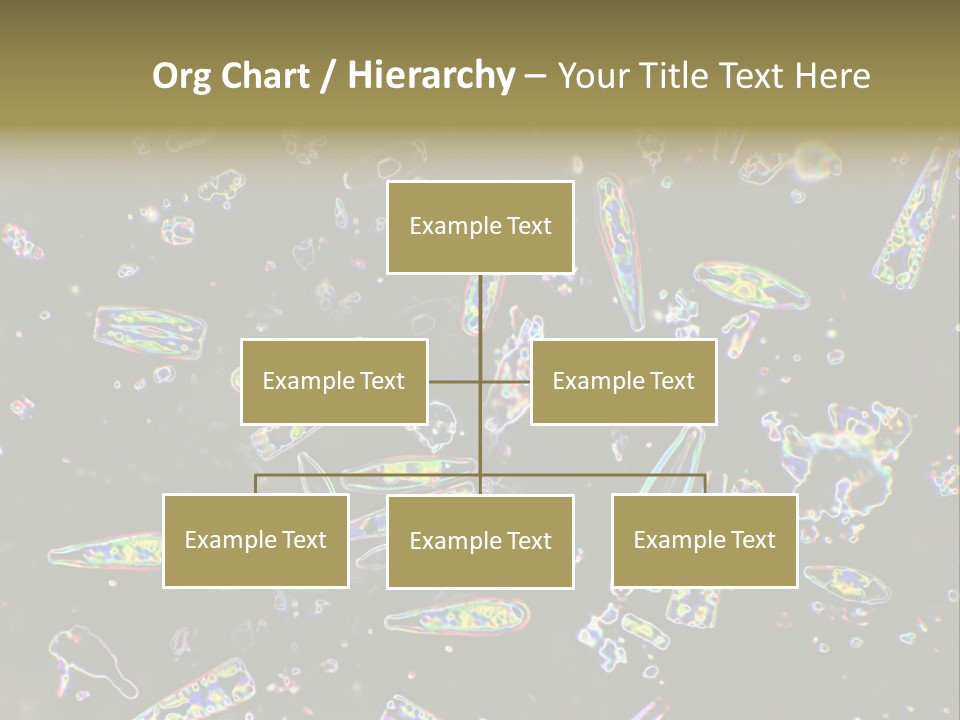 Mixed Diatoms From A Small Creek. This Image Has Been Enhanced With A Density Color Conversion Algorithm To Accentuate Internal Structure. Magnification 400X PowerPoint Template