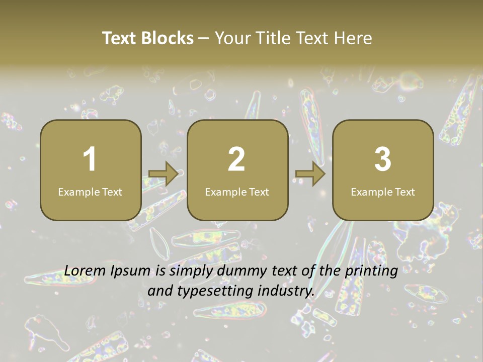 Mixed Diatoms From A Small Creek. This Image Has Been Enhanced With A Density Color Conversion Algorithm To Accentuate Internal Structure. Magnification 400X PowerPoint Template