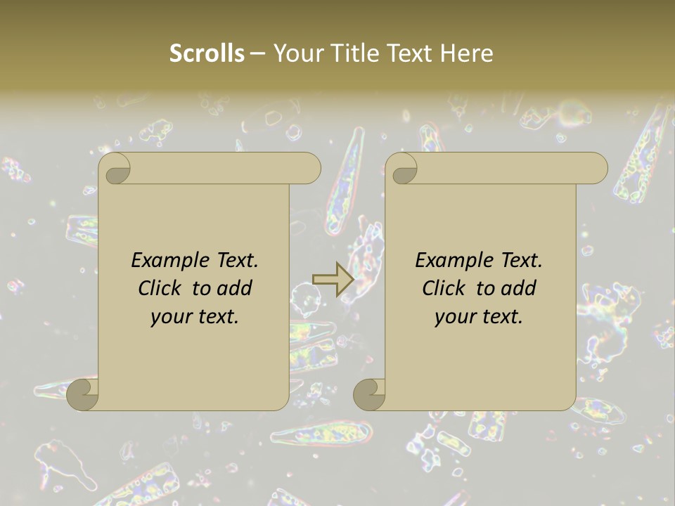 Mixed Diatoms From A Small Creek. This Image Has Been Enhanced With A Density Color Conversion Algorithm To Accentuate Internal Structure. Magnification 400X PowerPoint Template