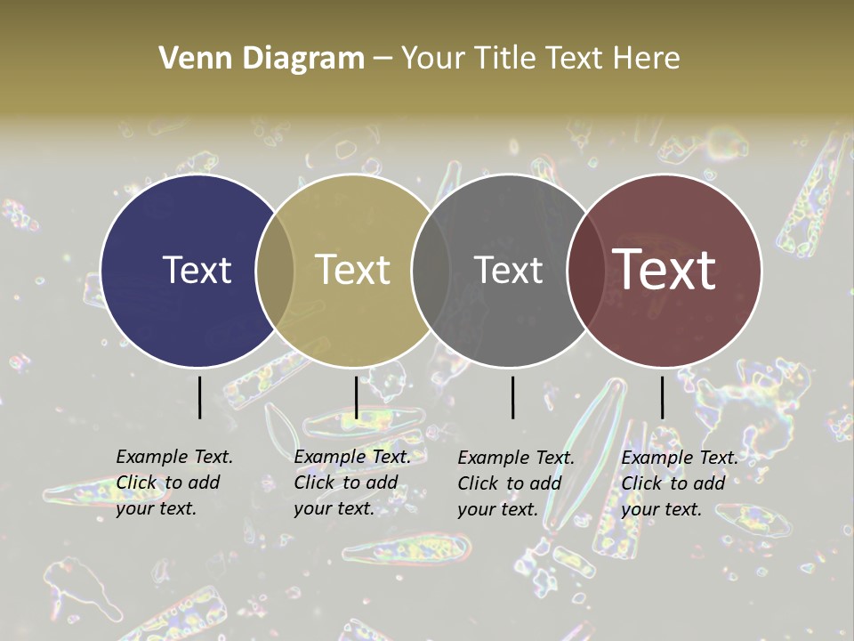 Mixed Diatoms From A Small Creek. This Image Has Been Enhanced With A Density Color Conversion Algorithm To Accentuate Internal Structure. Magnification 400X PowerPoint Template
