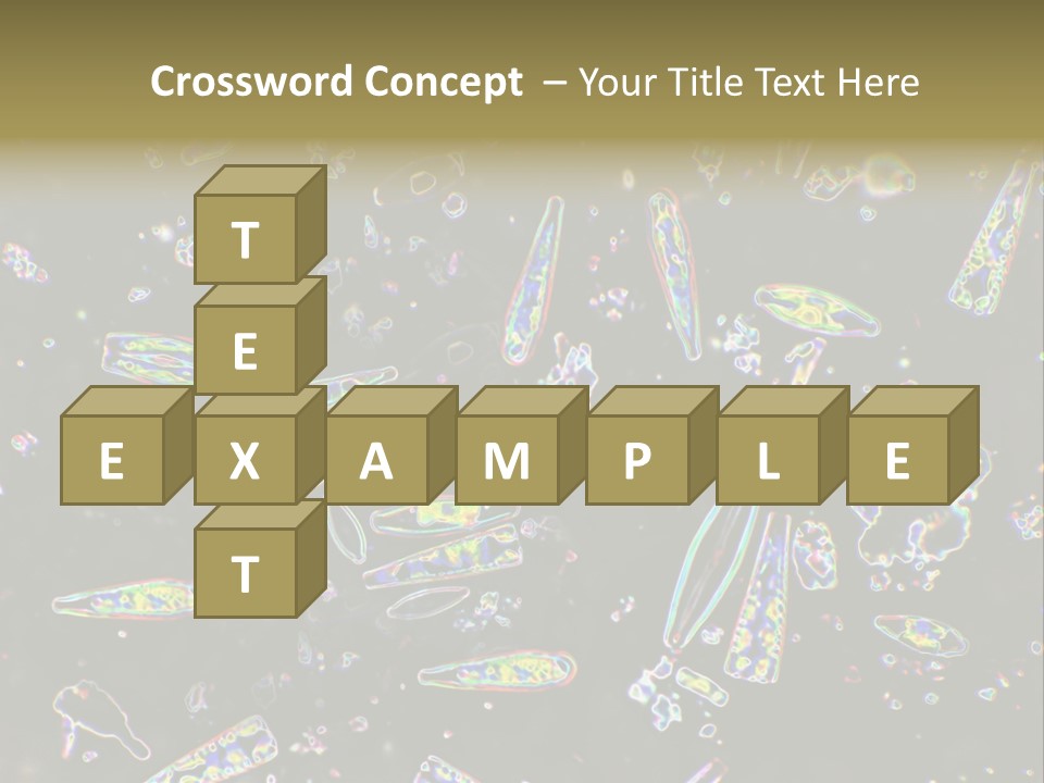 Mixed Diatoms From A Small Creek. This Image Has Been Enhanced With A Density Color Conversion Algorithm To Accentuate Internal Structure. Magnification 400X PowerPoint Template