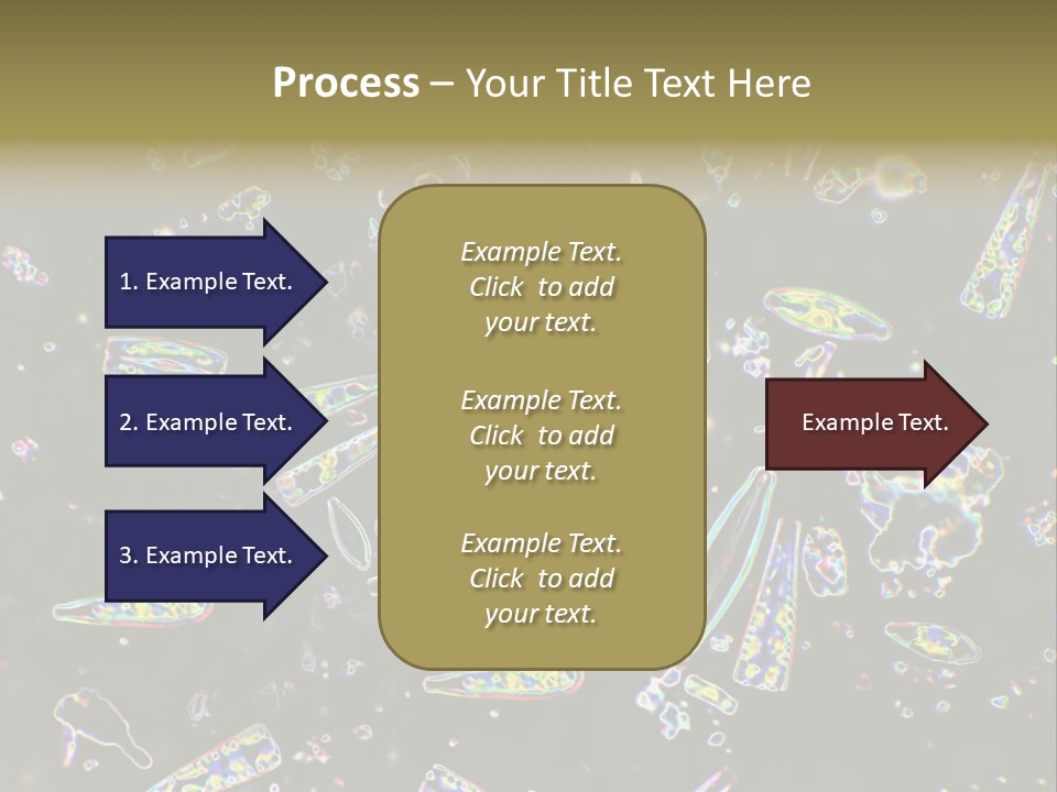 Mixed Diatoms From A Small Creek. This Image Has Been Enhanced With A Density Color Conversion Algorithm To Accentuate Internal Structure. Magnification 400X PowerPoint Template