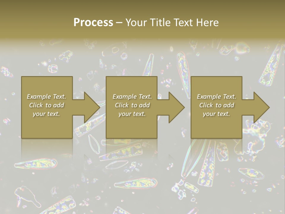 Mixed Diatoms From A Small Creek. This Image Has Been Enhanced With A Density Color Conversion Algorithm To Accentuate Internal Structure. Magnification 400X PowerPoint Template