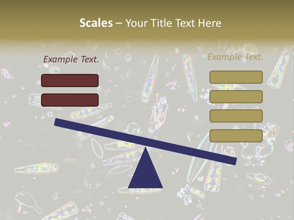 Mixed Diatoms From A Small Creek. This Image Has Been Enhanced With A Density Color Conversion Algorithm To Accentuate Internal Structure. Magnification 400X PowerPoint Template