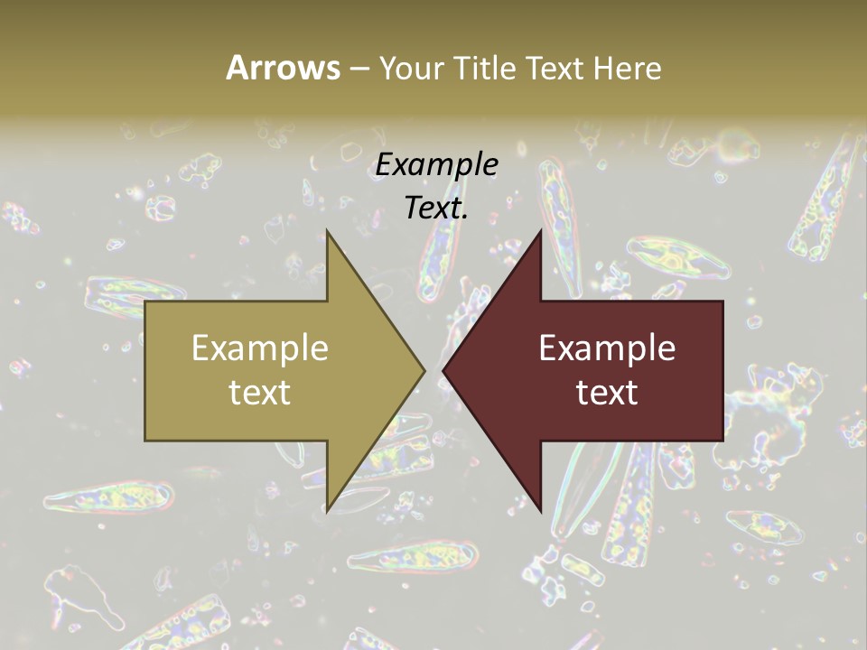 Mixed Diatoms From A Small Creek. This Image Has Been Enhanced With A Density Color Conversion Algorithm To Accentuate Internal Structure. Magnification 400X PowerPoint Template