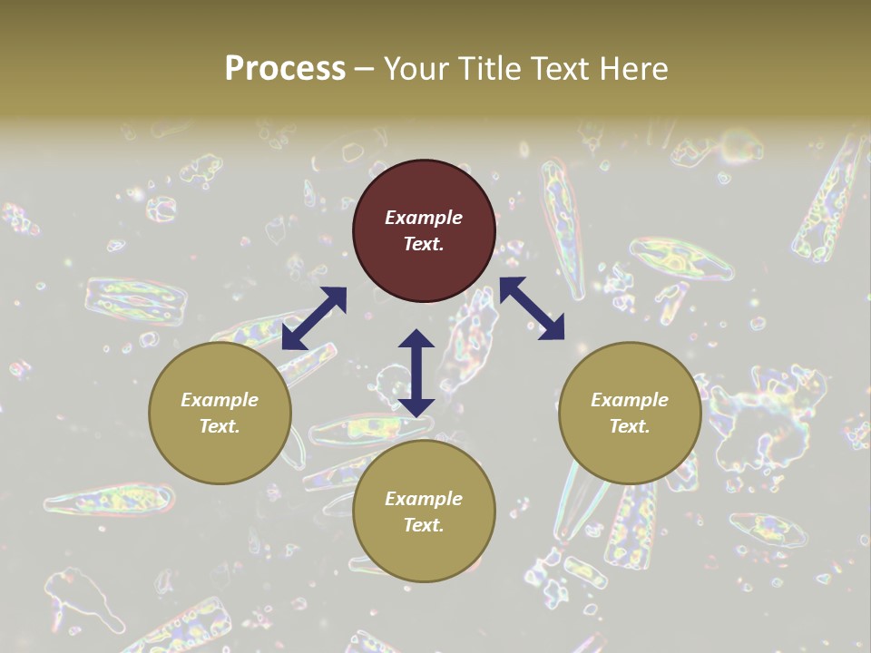 Mixed Diatoms From A Small Creek. This Image Has Been Enhanced With A Density Color Conversion Algorithm To Accentuate Internal Structure. Magnification 400X PowerPoint Template