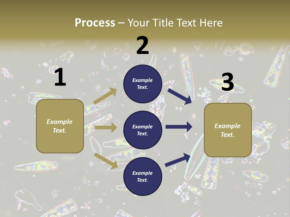 Mixed Diatoms From A Small Creek. This Image Has Been Enhanced With A Density Color Conversion Algorithm To Accentuate Internal Structure. Magnification 400X PowerPoint Template