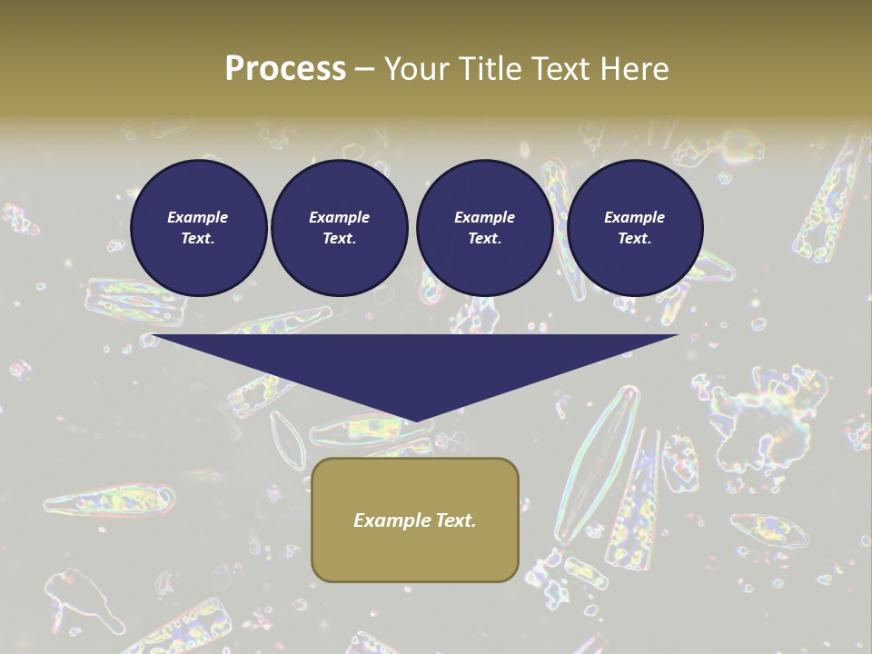 Mixed Diatoms From A Small Creek. This Image Has Been Enhanced With A Density Color Conversion Algorithm To Accentuate Internal Structure. Magnification 400X PowerPoint Template