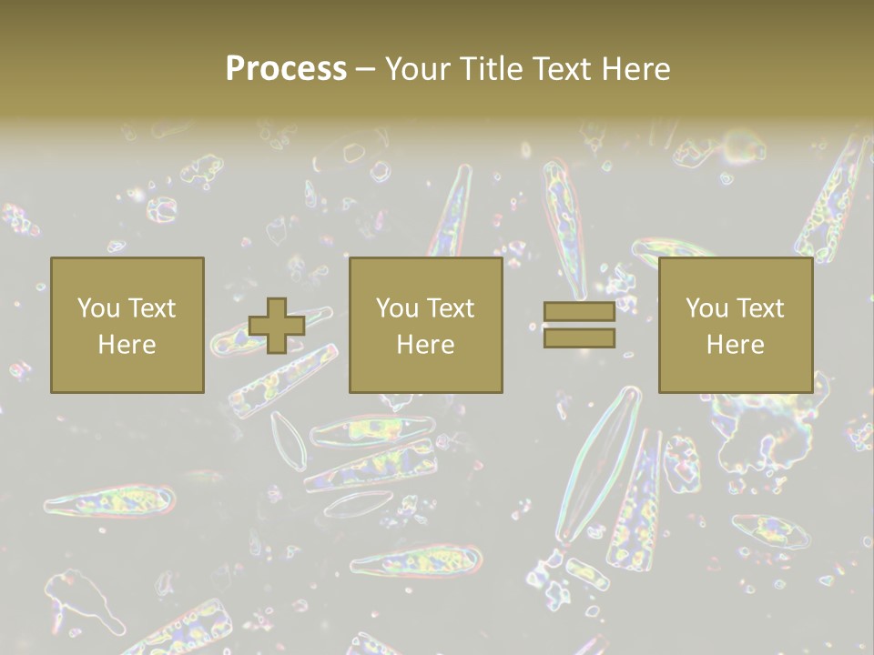 Mixed Diatoms From A Small Creek. This Image Has Been Enhanced With A Density Color Conversion Algorithm To Accentuate Internal Structure. Magnification 400X PowerPoint Template